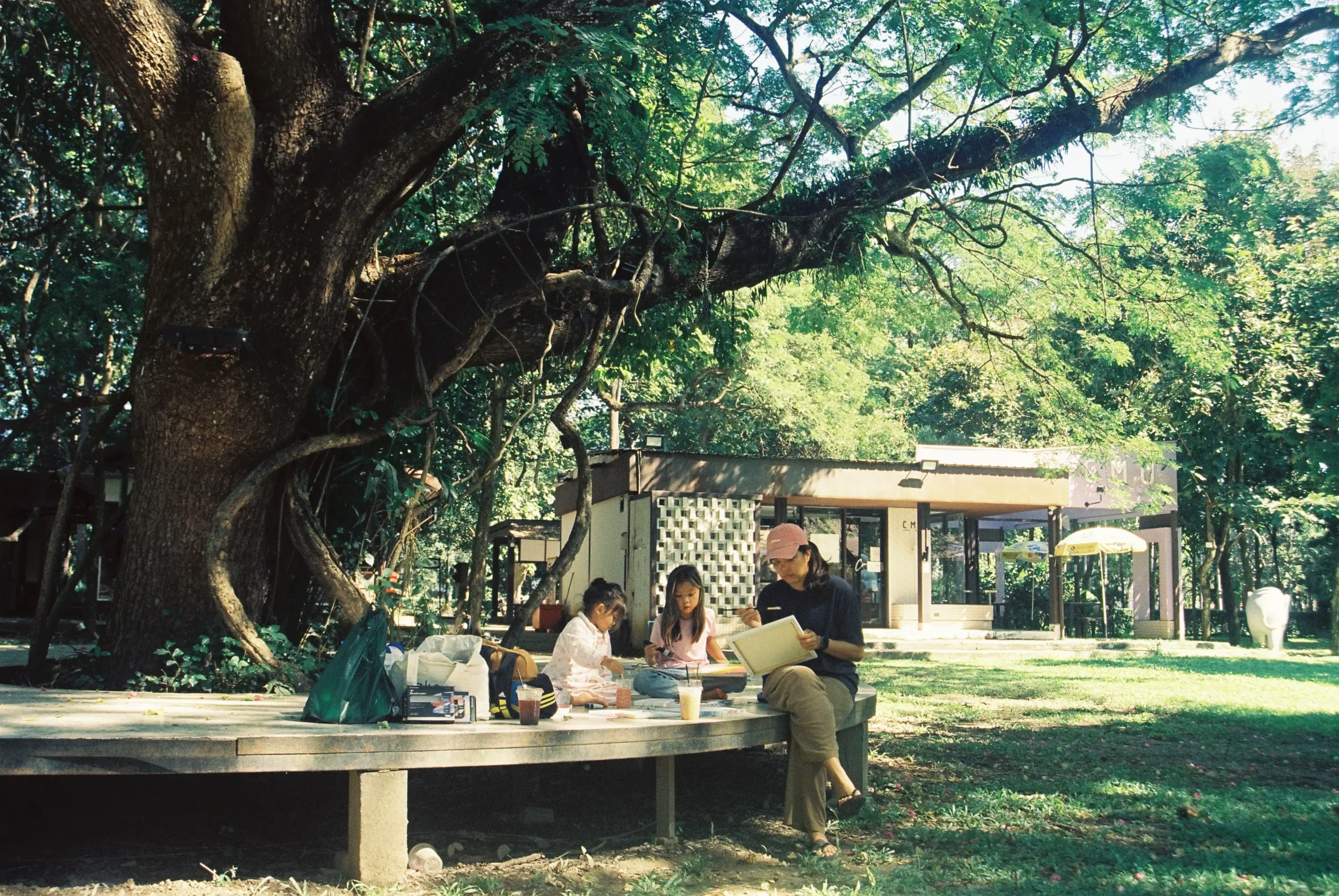 เชียงใหม่ 2025 ม้วนที่ 3